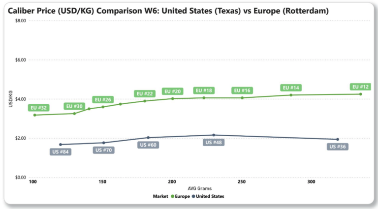 avocado arrivals prices